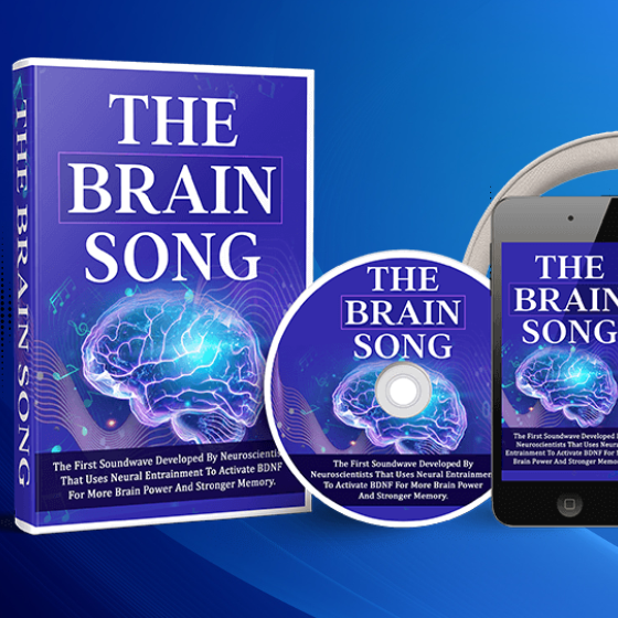 TheBrain Song