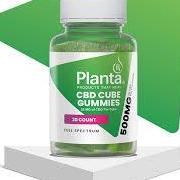 Planta CBD Gummies