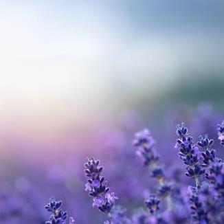 RyujiSaeki RyujiSaeki