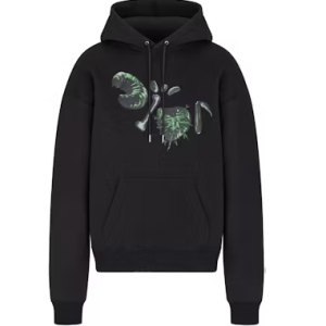 Hoodie Djsakfno