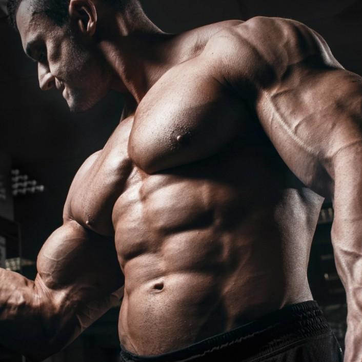 Pharmaqolabus Pharmaqolabus